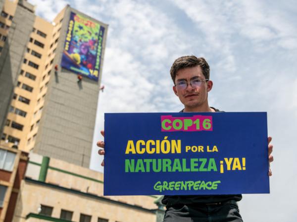 Greenpeace Colombia