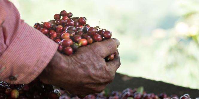 Café de Colombia