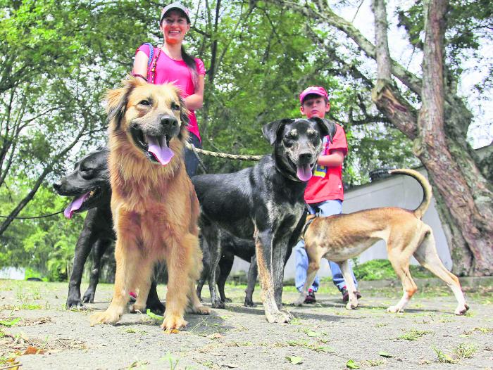 El mercado de las mascotas mira hacia las mujeres