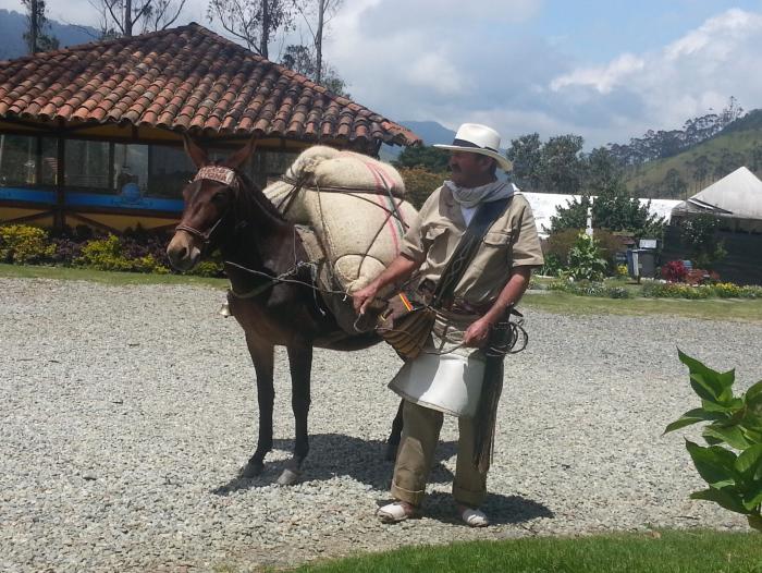 El 3% del empleo rural lo genera la caficultura en los municipios donde es el cultivo principal.