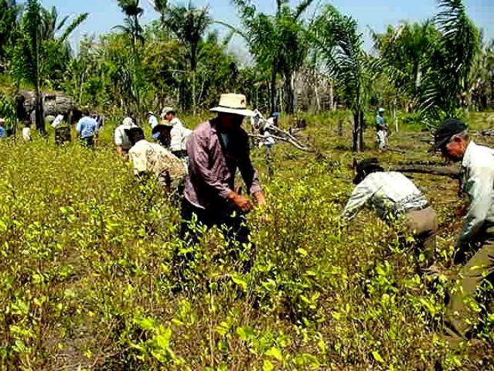 El desarrollo rural es uno de los temas principales del Foro.