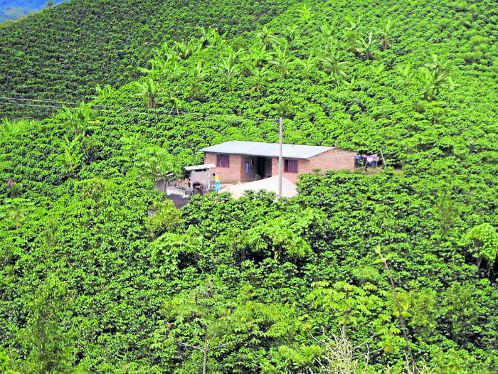 Otro de los atractivos del Huila es su gran variedad de cafés, que son reconocidos a nivel internacional.