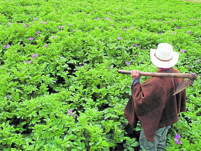 El Gobierno insiste más en los problemas de las víctimas, su reparación y la restitución de sus tierras