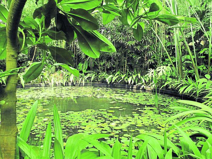 El Jardín Botánico de Bogotá producirá energía