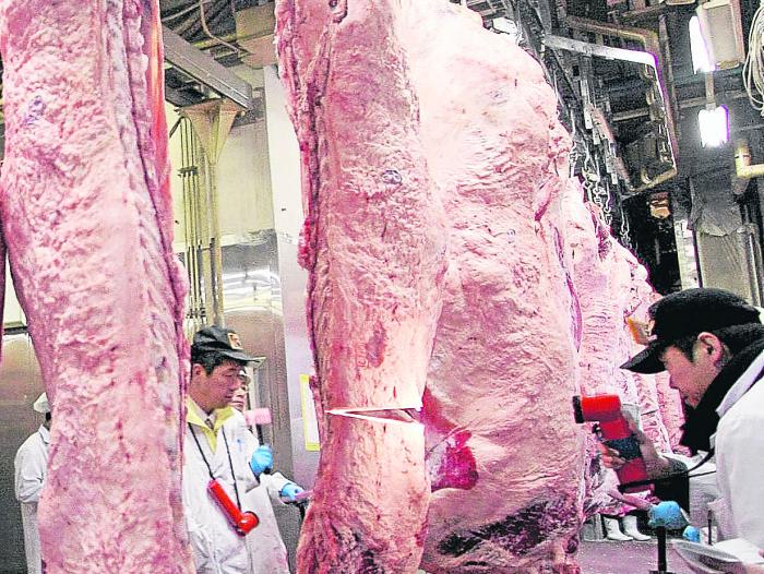 Paraguay exportó 170.000 toneladas de carne en el 2010.