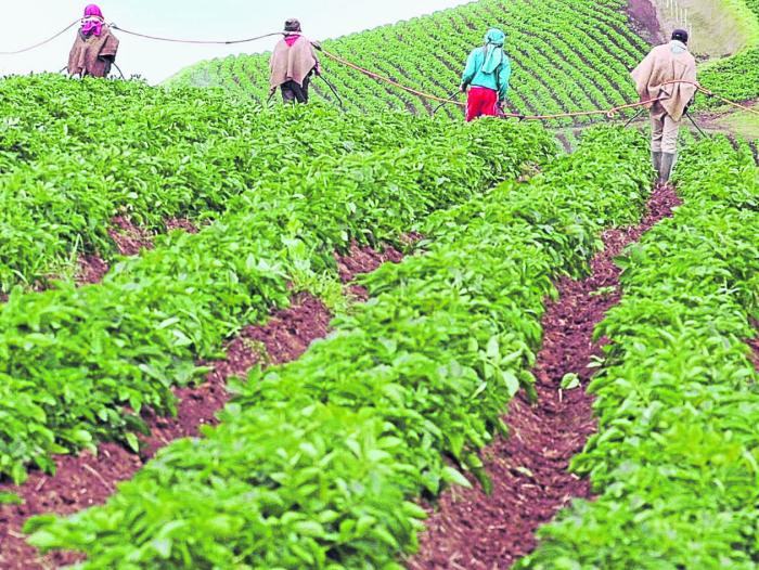 El 70 por ciento del agua de que dispone el planeta se emplea en la agricultura, 22 por ciento en la industria –particularmente