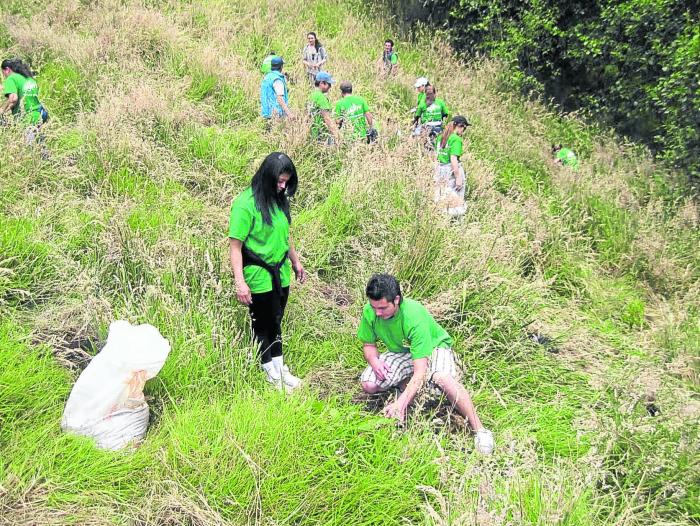 La empresa inició un plan de reforestación con árboles nativos.