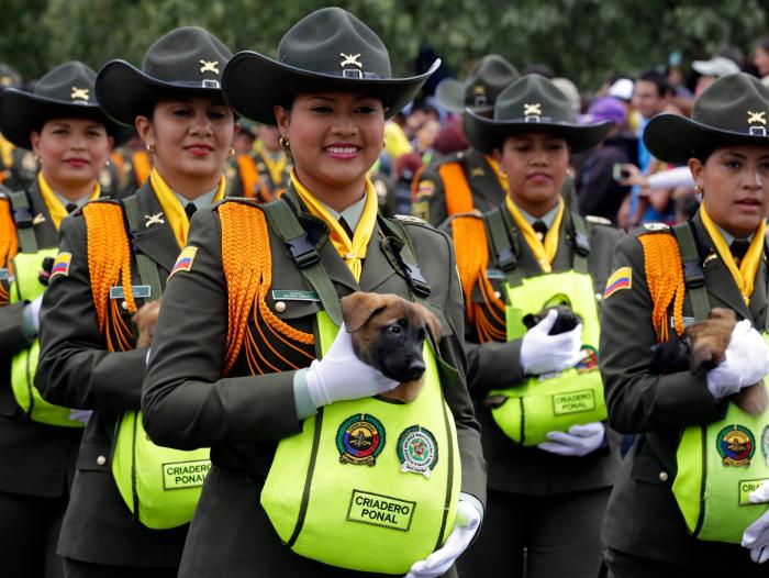 celebración del 20 de Julio en Colombia