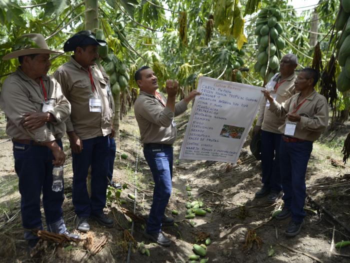 Farc-Exguerrilleros