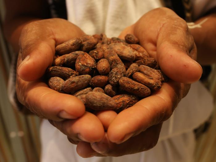 Cacao