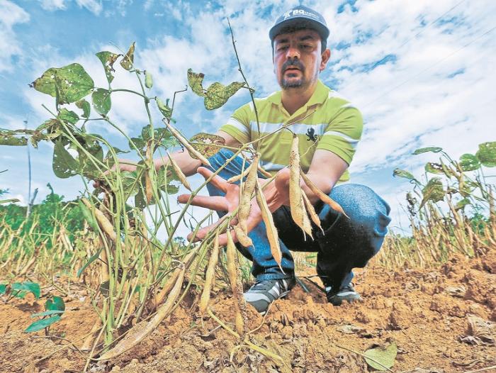 Agricultura