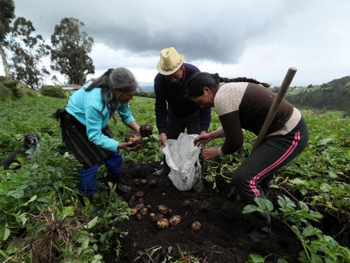 Campesinos en Nariño