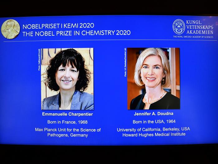 Premio Nobel Química