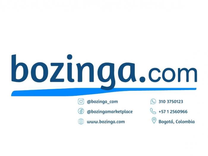 Bozinga