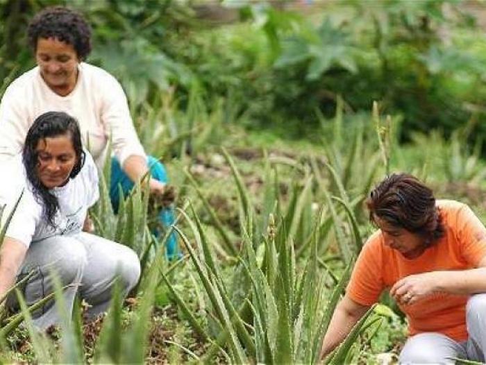 Mujeres rurales