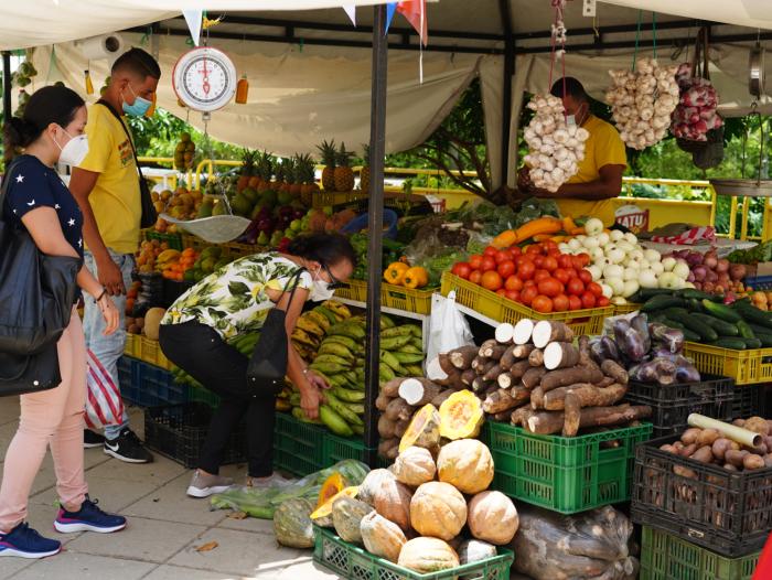 Alimentos