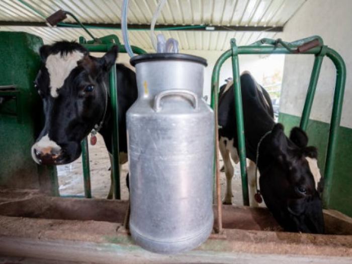 Producción de leche en Colombia