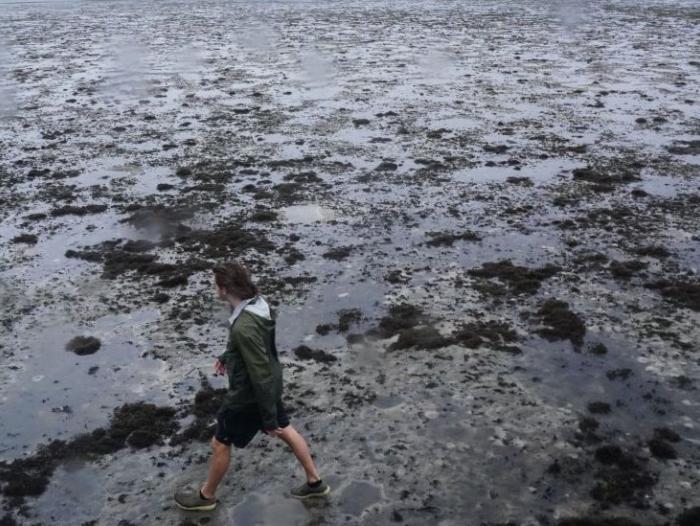 BBC Mundo: una persona camina por la arena cuando retrocedió el mar por el huracán Ian