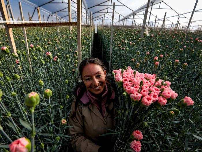 Flores colombianas