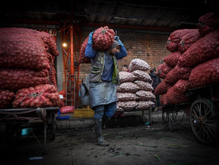 Abastecimiento de alimentos