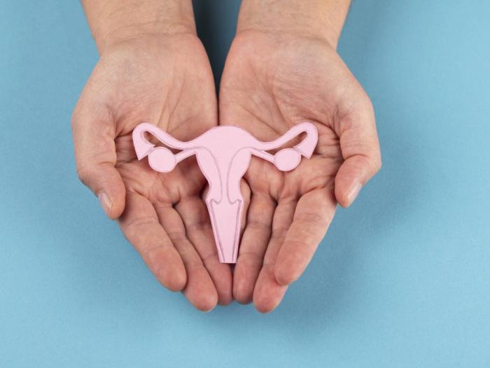 Salud menstrual