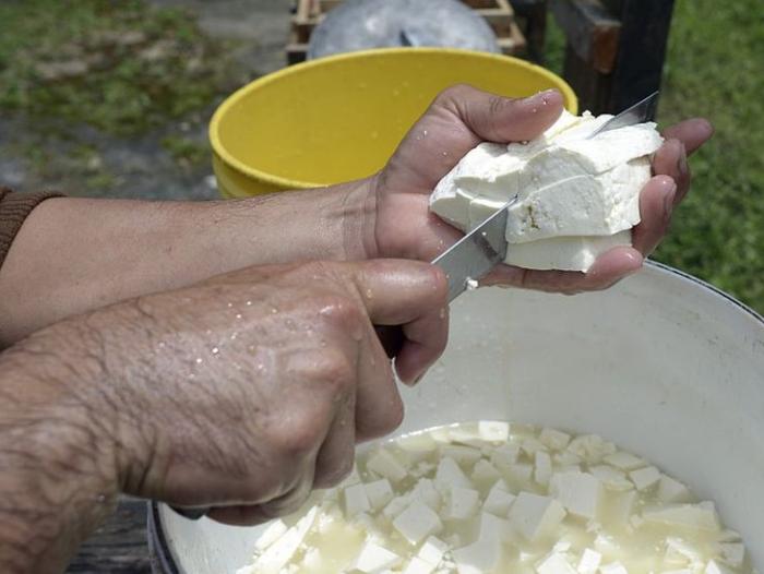 BBC Mundo: Producción de queso en Venezuela.