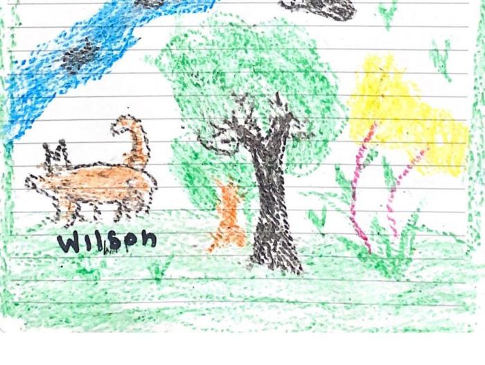 Dibujo de Lesly sobre el perro Wilson