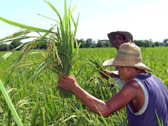 Agricultores