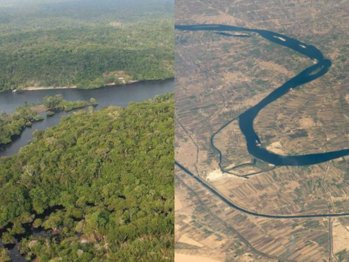 Río Amazonas y río Nilo