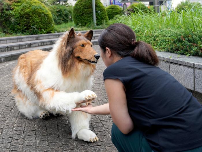 Toco, el hombre japonés que logró su sueño de convertirse en perro