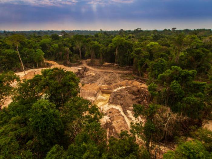 Deforestación en el Amazonas