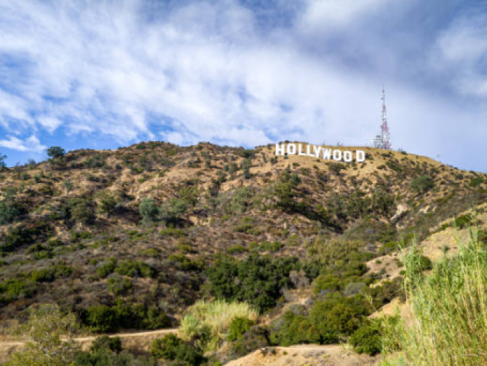 Hollywood