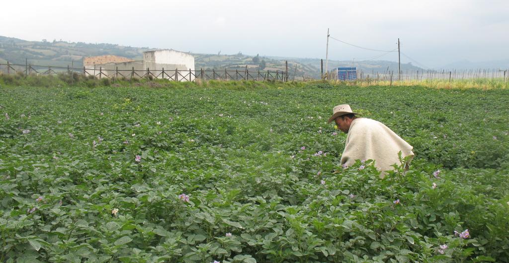 Gobierno anuncia que habrá actualización catastral del agro.