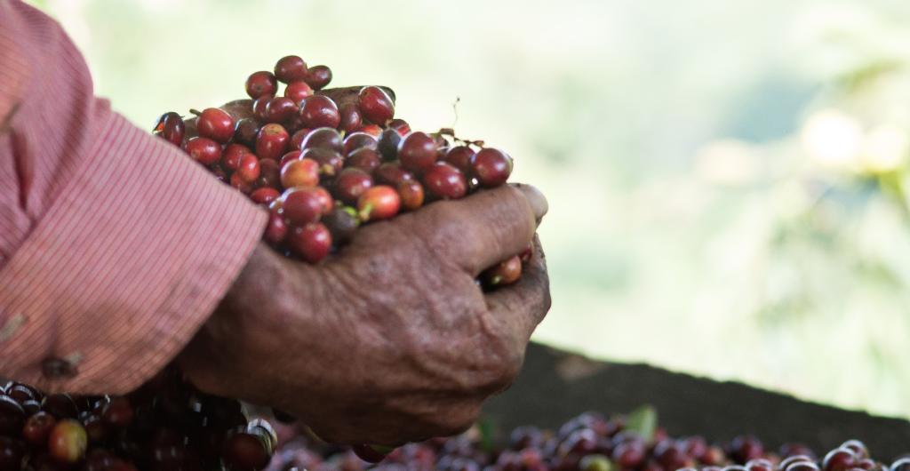 Café de Colombia