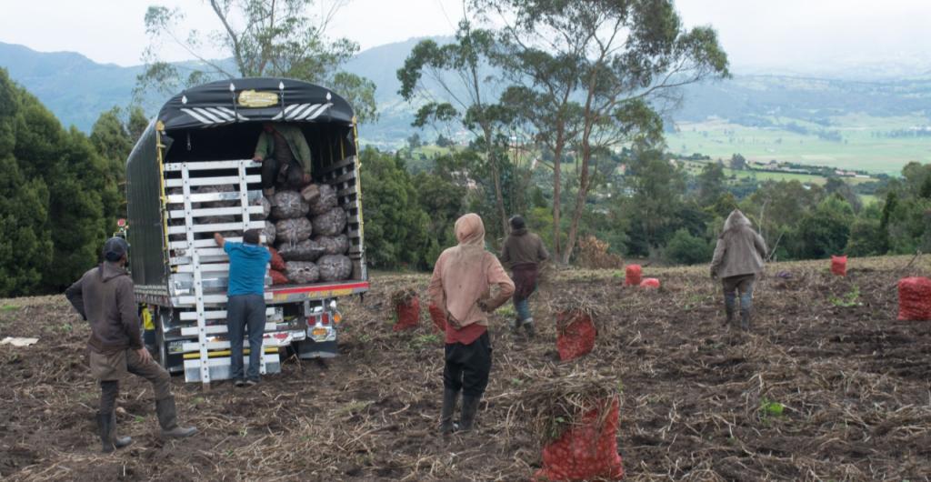 Agro en Colombia