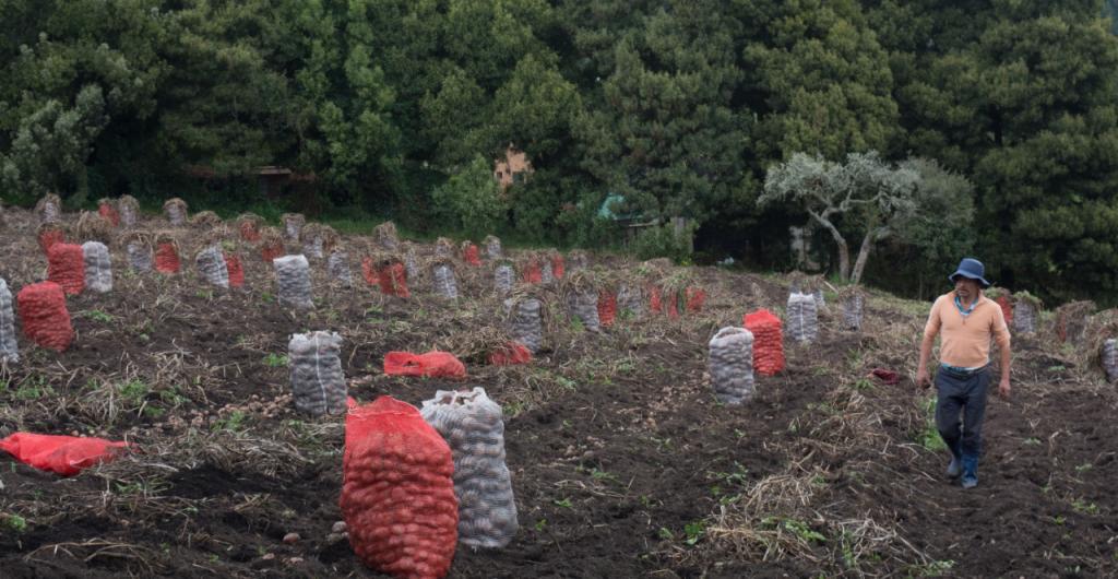 Agro en Colombia