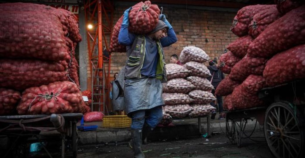 Abastecimiento de alimentos