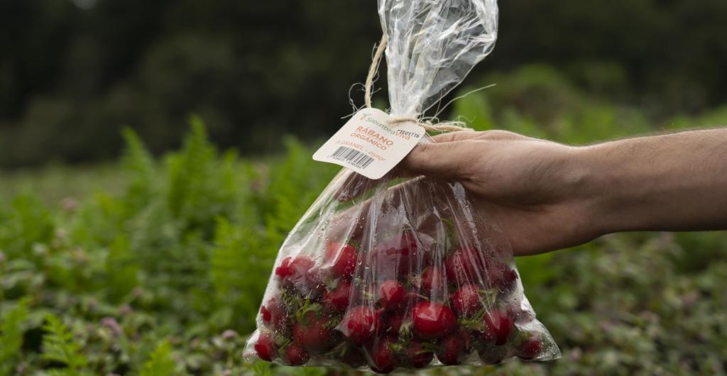 Agro en Colombia