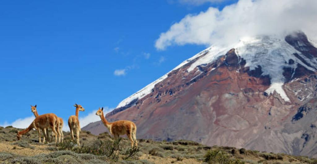 Volcán del Chimborazo (Ecuador)