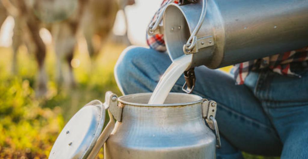 Producción de leche