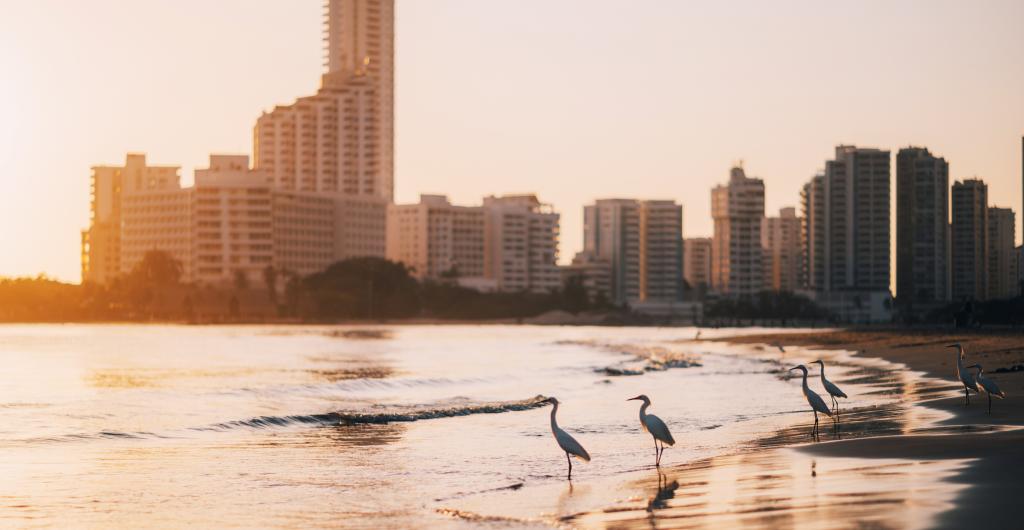 playa colombiana