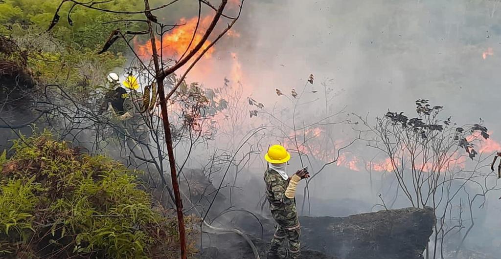 Incendios forestales