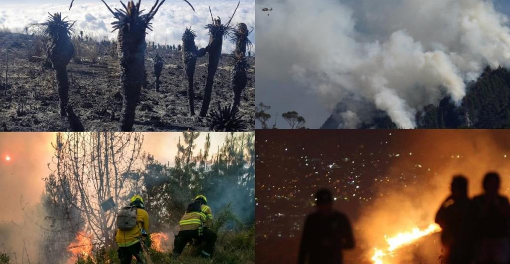 Incendios forestales en Colombia