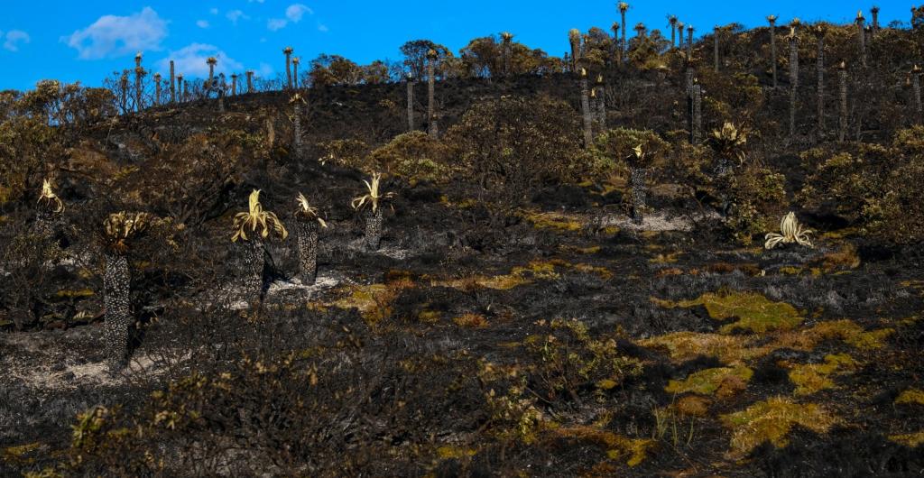 Incendios en Colombia