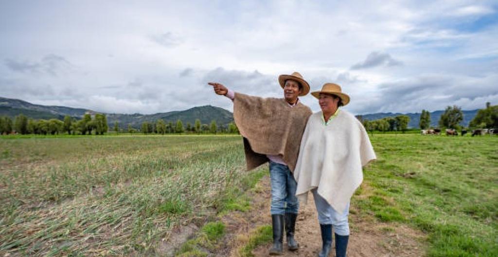 Agro colombiano