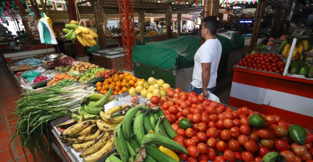 Abastecimiento de alimentos