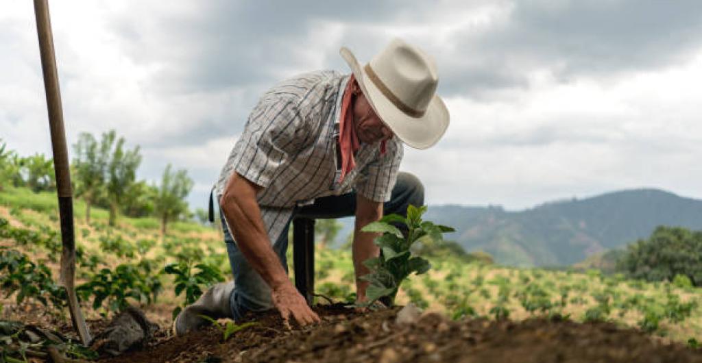 Agricultura