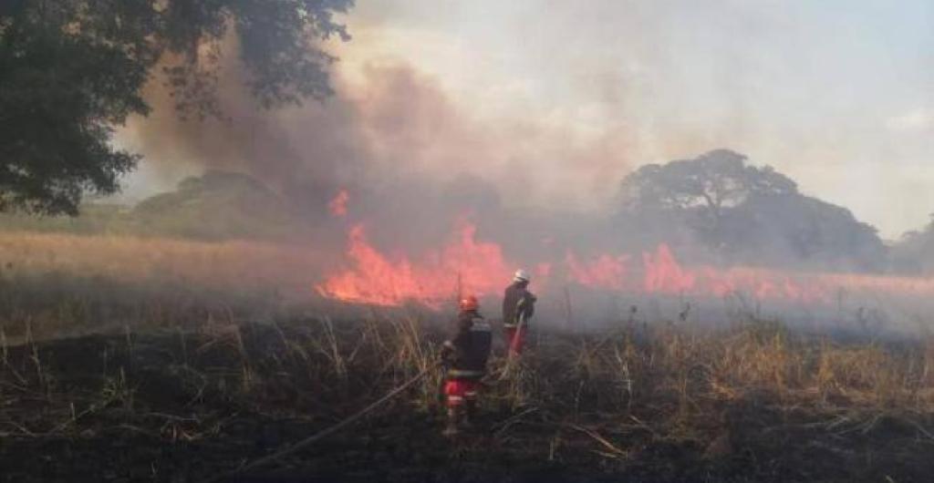 Incendio forestal