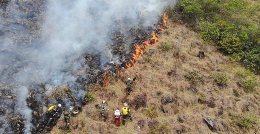 Incendio forestal