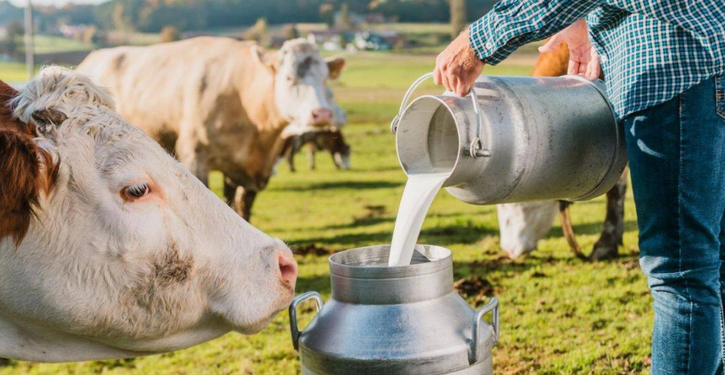 Producción de leche